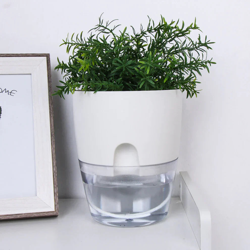 Automatic watering pot
