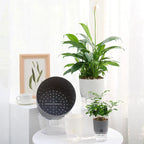 Self-Watering Plant Pot - AquaBloom