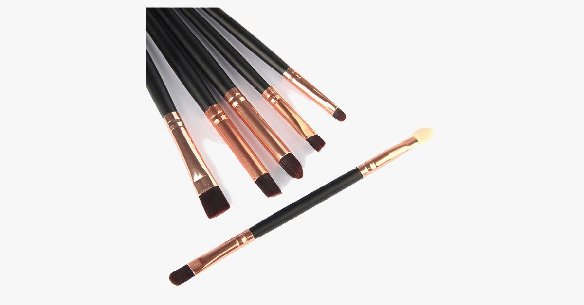 6-piece professional brush set