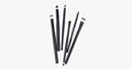6-piece professional brush set