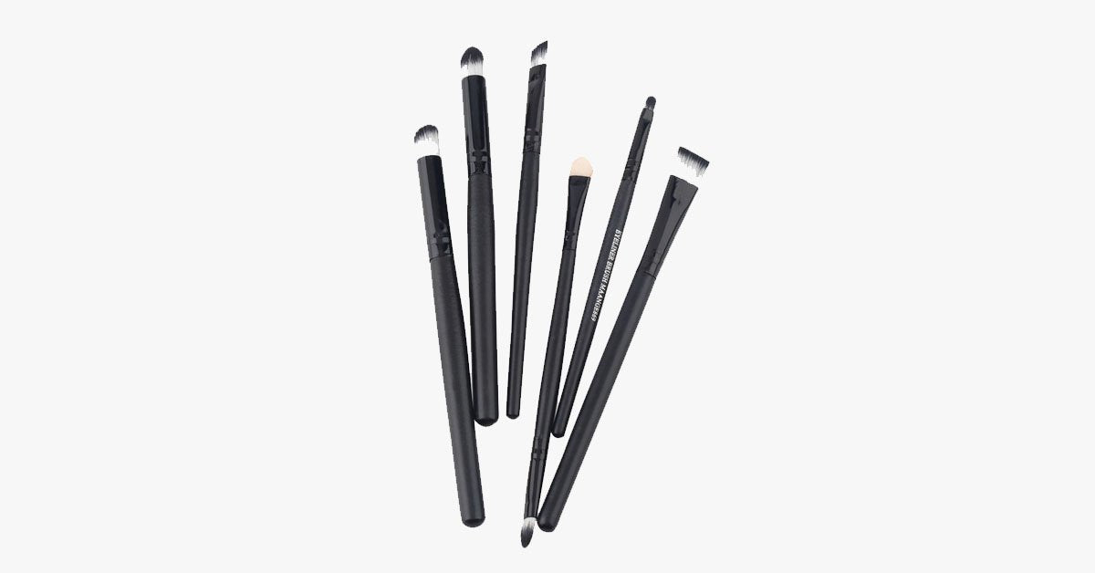 6-piece professional brush set