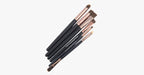 6-piece professional brush set