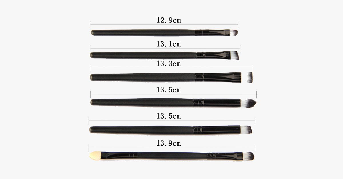 6-piece professional brush set