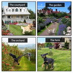 Effective Pest Repeller – Solar Ultrasonic Animal Deterrent for Garden