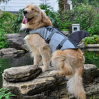 Dog's Shark Life Vest