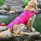 Dog's Shark Life Vest