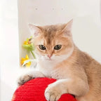 ShroomScratch - Mushroom Cat Scratcher