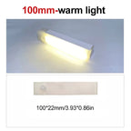 LED Motion Sensor Cabinet Light (2 pieces)