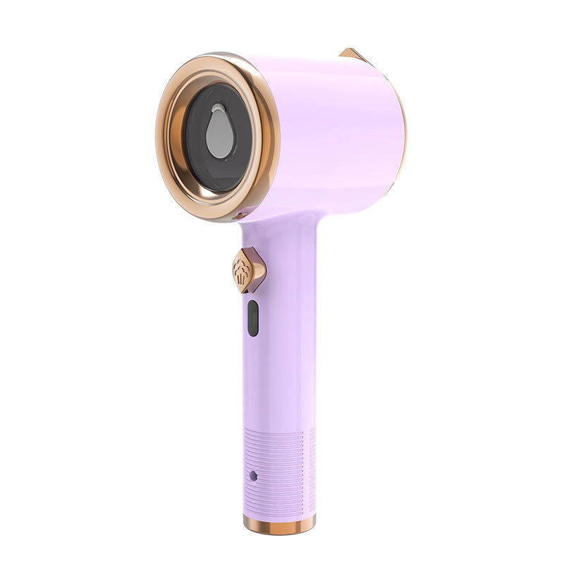Portable Mini Iron