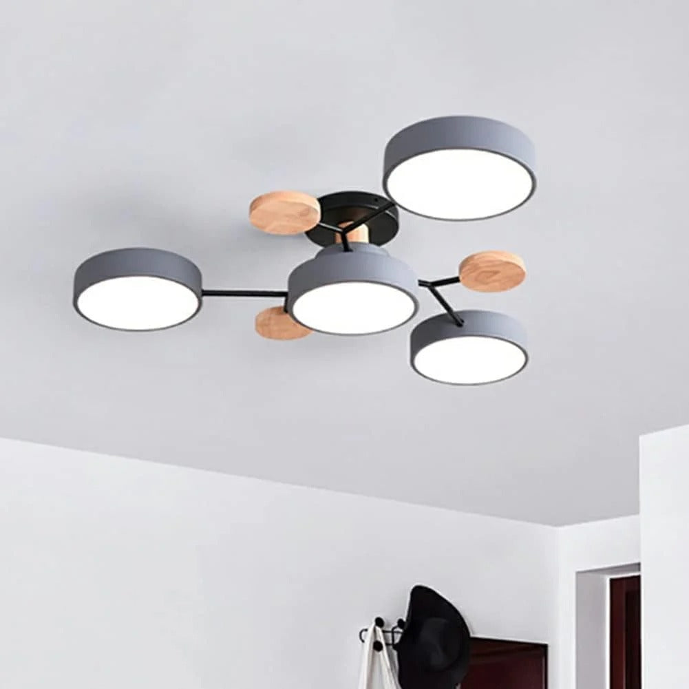 LED Modern Ceiling Light Fixture