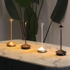 Elegant rechargeable metallic table lamp