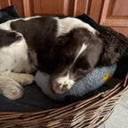 SleepHug - Calming Pet Pillow for Dogs & Cats