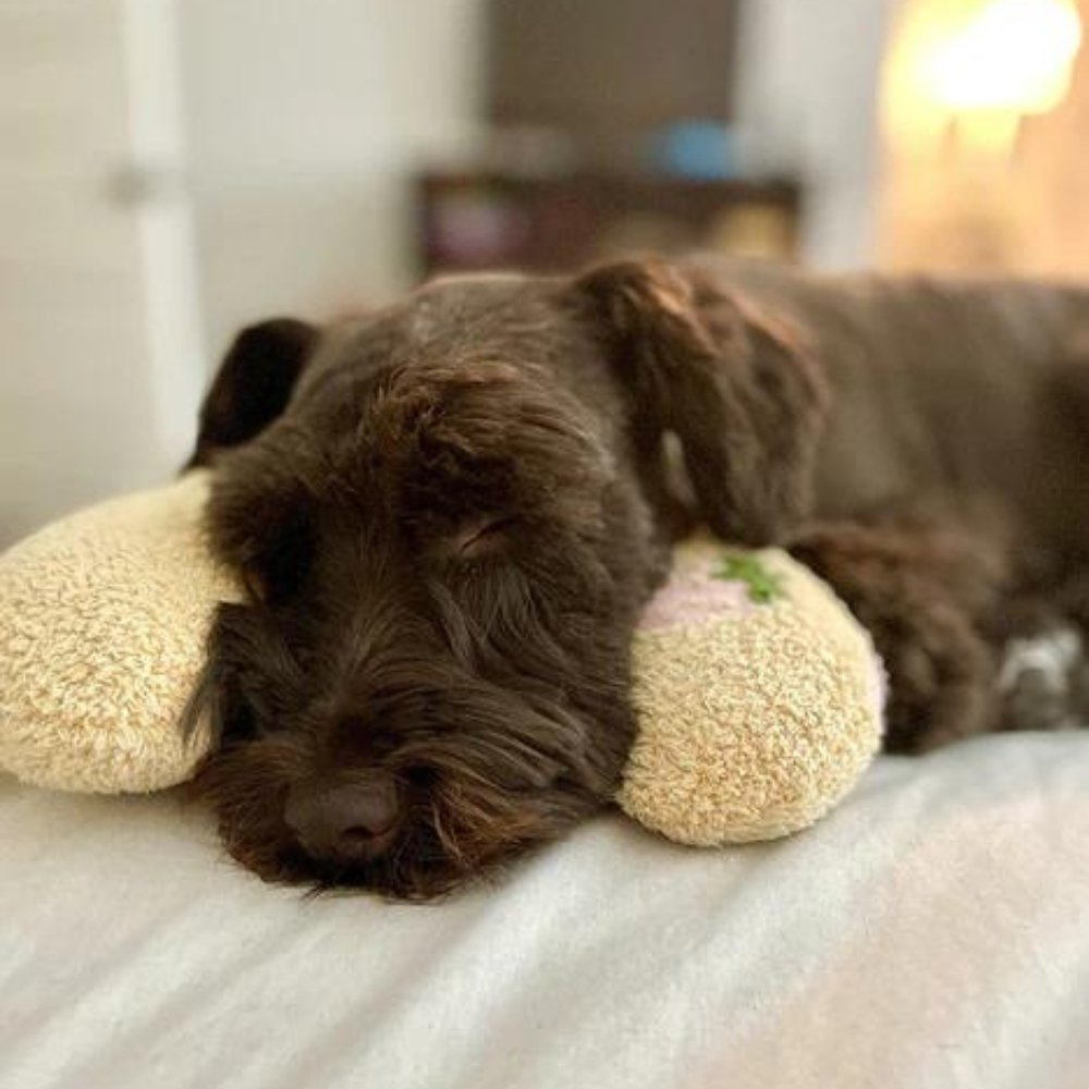 SleepHug - Calming Pet Pillow for Dogs & Cats