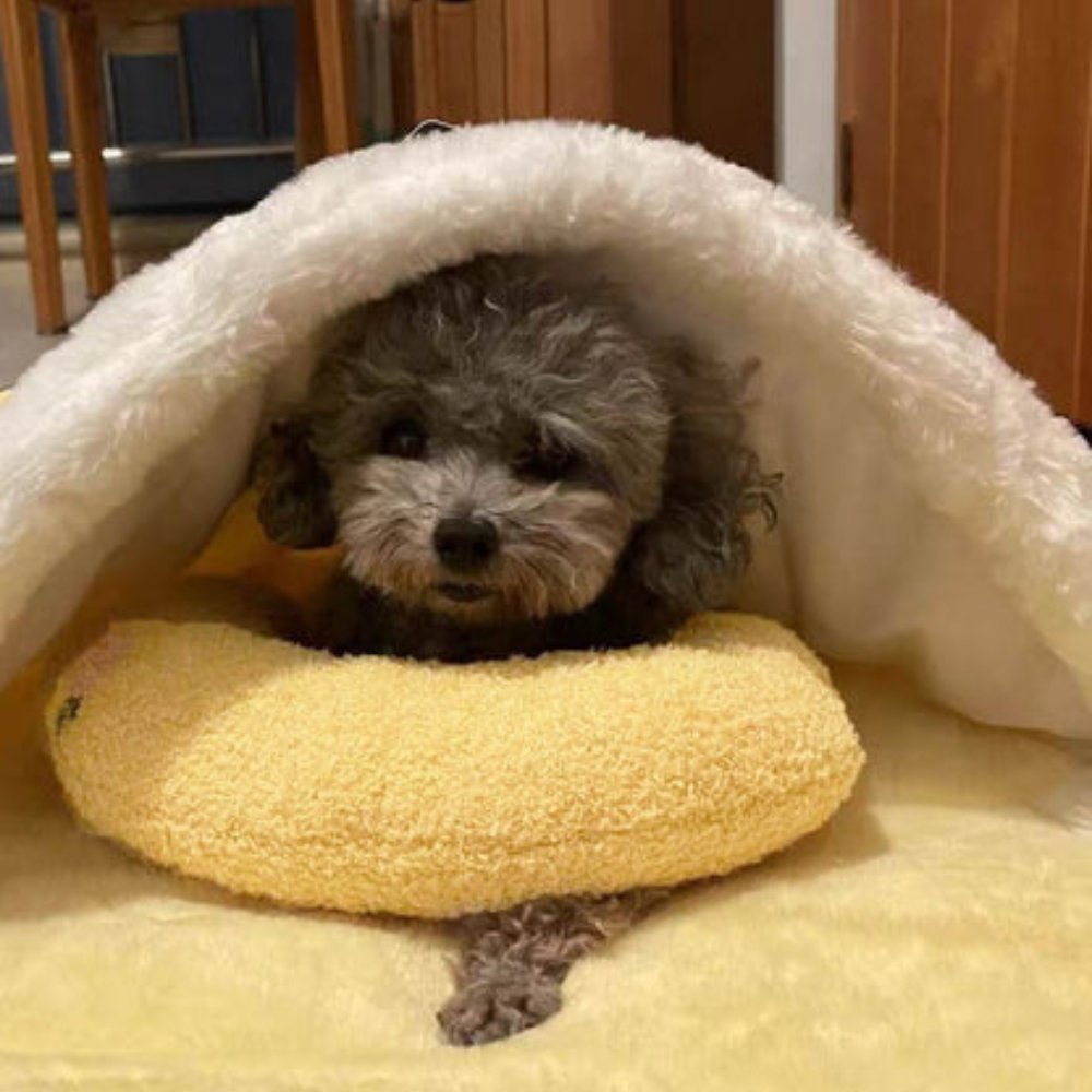 SleepHug - Calming Pet Pillow for Dogs & Cats