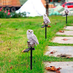 Barter | Garden lamp owls with solar energy