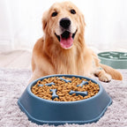 SlowBowl - Dog Feeding Bowl Slow