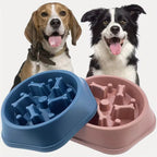 SlowBowl - Dog Feeding Bowl Slow