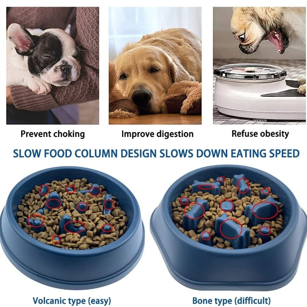 SlowBowl - Dog Feeding Bowl Slow