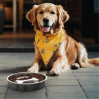 SlowFeed - Dog Feeding Bowl Slow