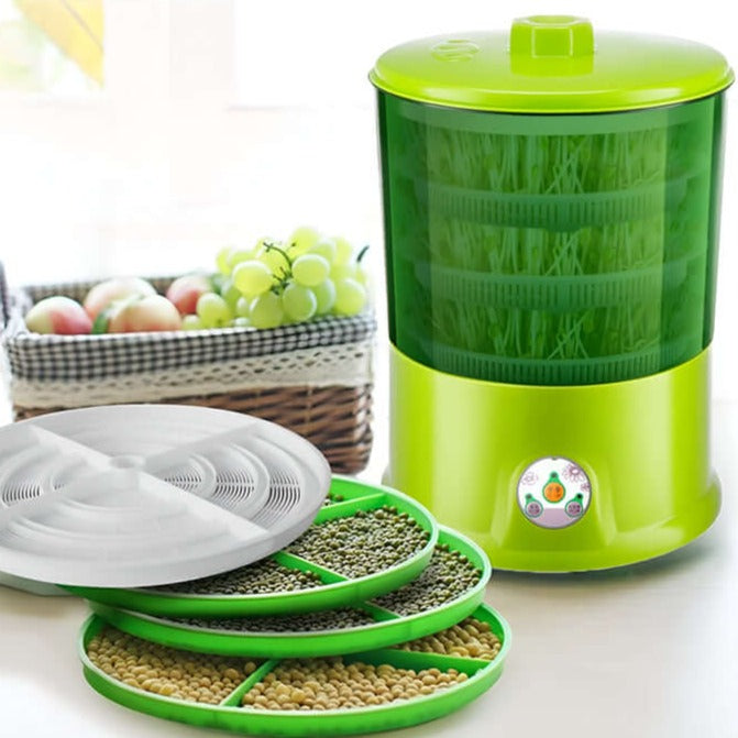 Efficient sprout growing kit for healthy and fresh growth