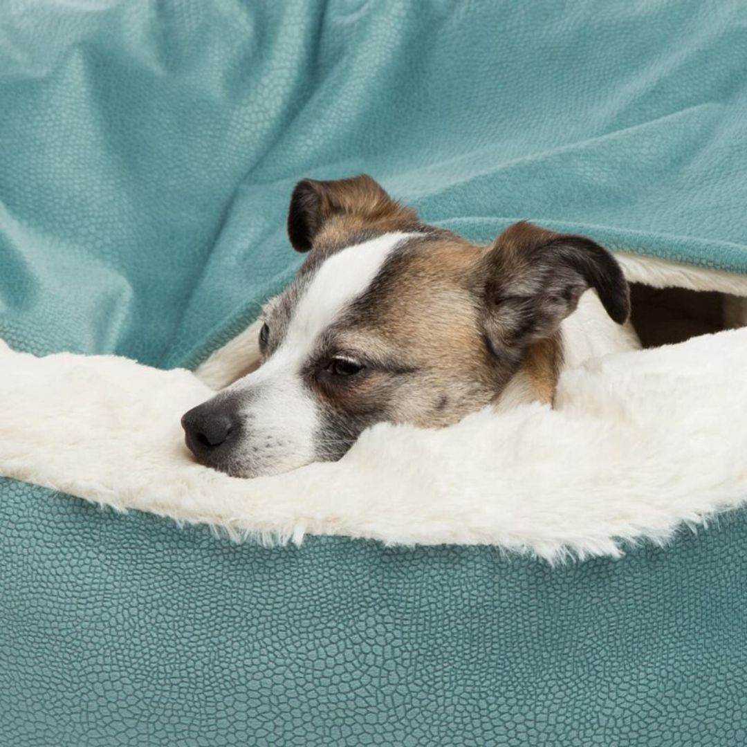 SnuggleNest Dog Cuddle Cave - The Ultimate Comfort for Your Pet