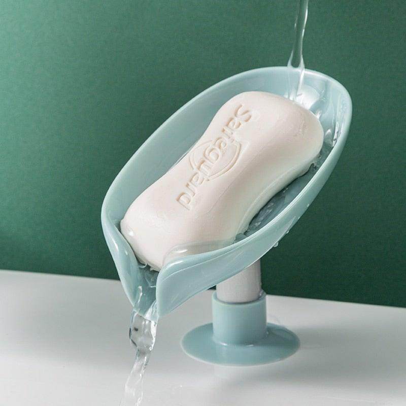 Soap case
