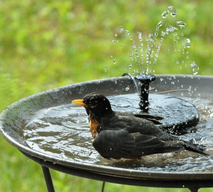 ORBITALWATER – Solar Fountain Water Feature with Solar Panel