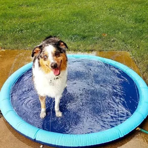 SplashyPaws - Splash Pad