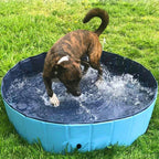 SplashZone - Dog Pool