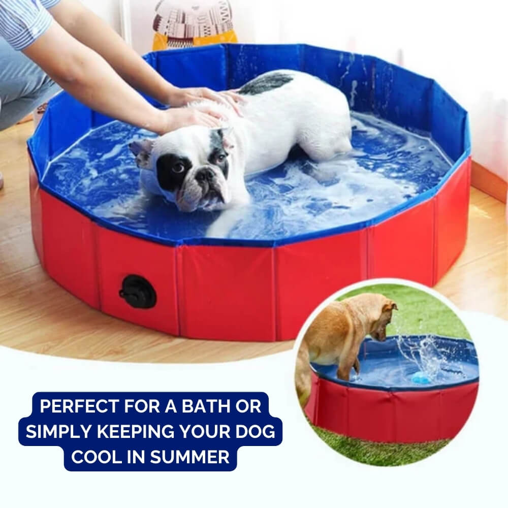 SplashZone - Dog Pool