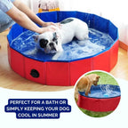 SplashZone - Dog Pool