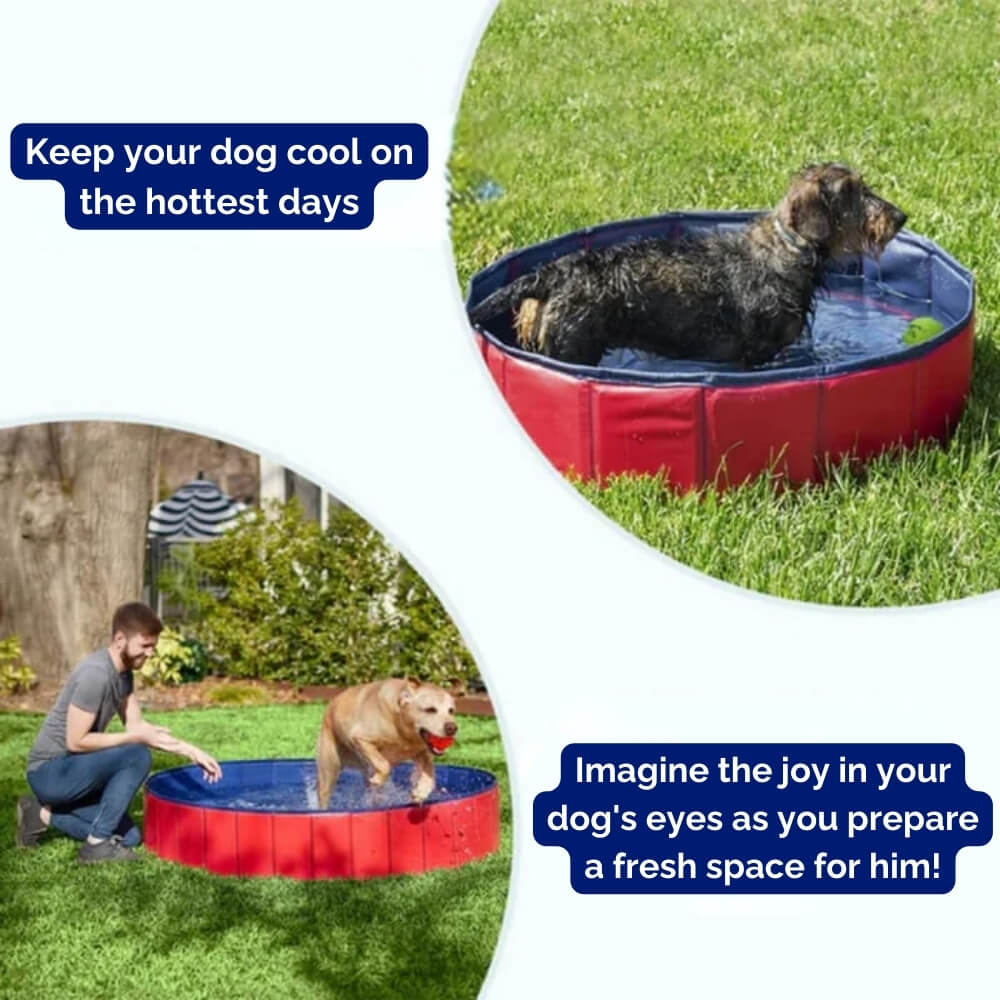 SplashZone - Dog Pool