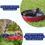 SplashZone - Dog Pool