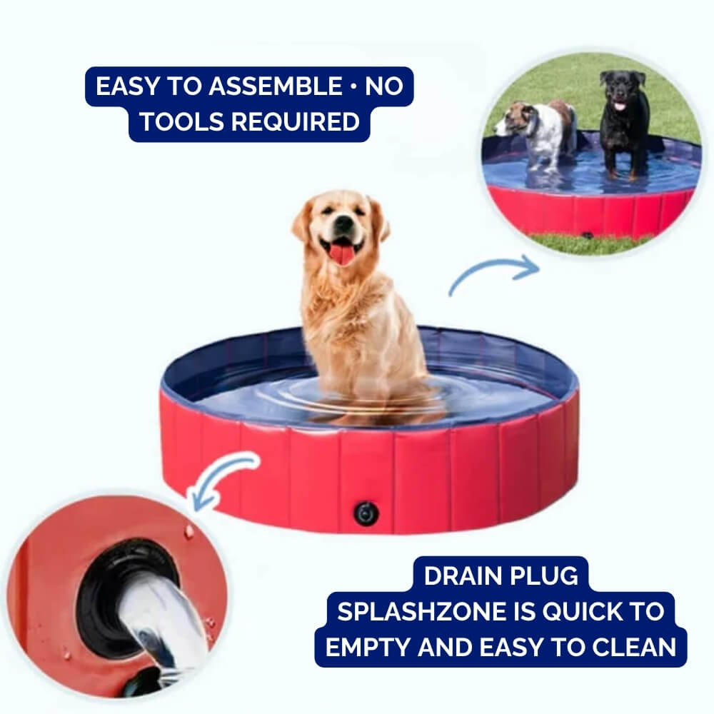 SplashZone - Dog Pool