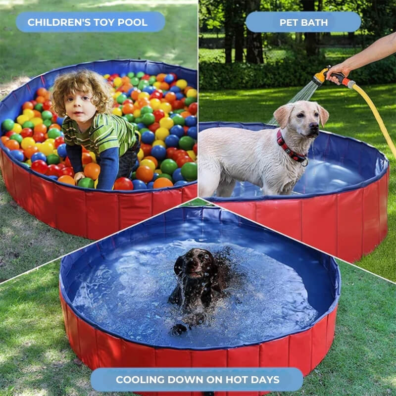 SplashZone - Dog Pool
