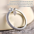 LuckyDragon Powerful Prosperity Charm