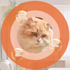 Pet Shiny and Smooth Hair Care Conditioner