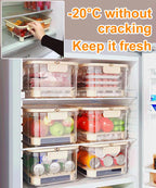 Portable fresh food box for the refrigerator