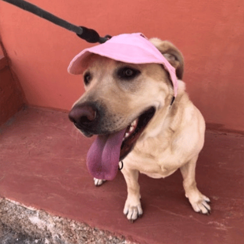 Dog hat