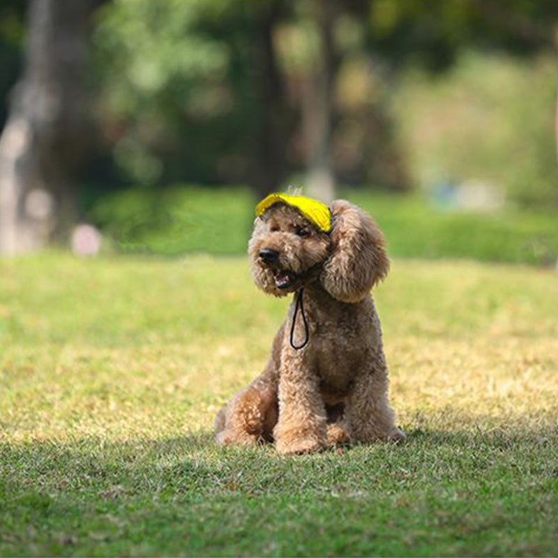 Dog hat
