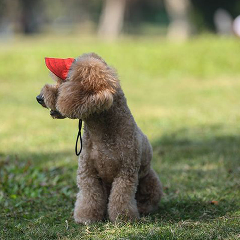 Dog hat