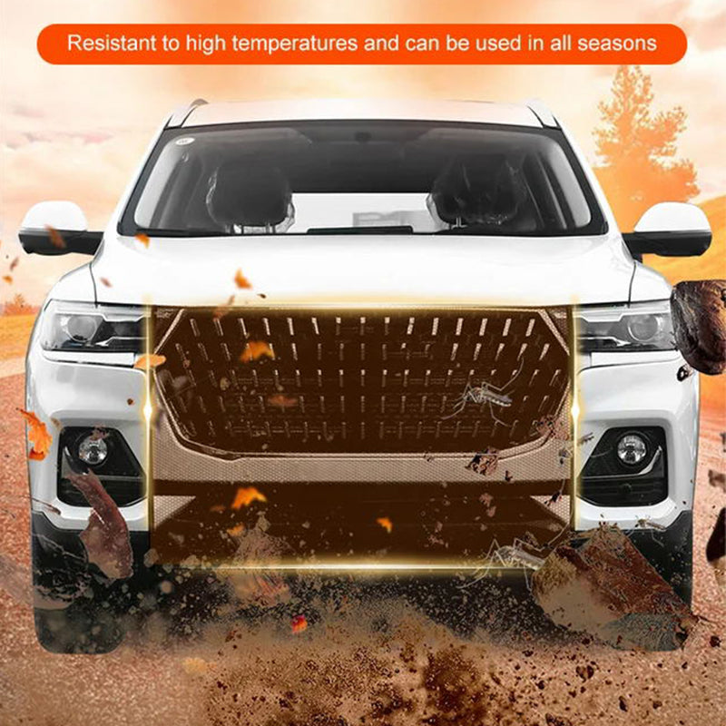 Protection net for car grill
