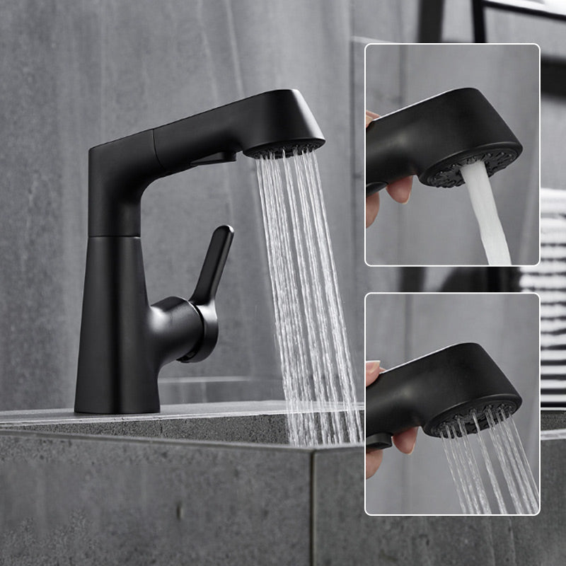 1-Hole Sink Mixer with Pull-Out Spray Head