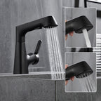1-Hole Sink Mixer with Pull-Out Spray Head
