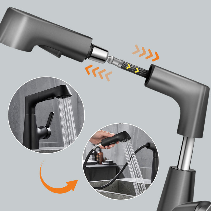 1-Hole Sink Mixer with Pull-Out Spray Head