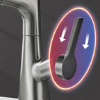 1-Hole Sink Mixer with Pull-Out Spray Head