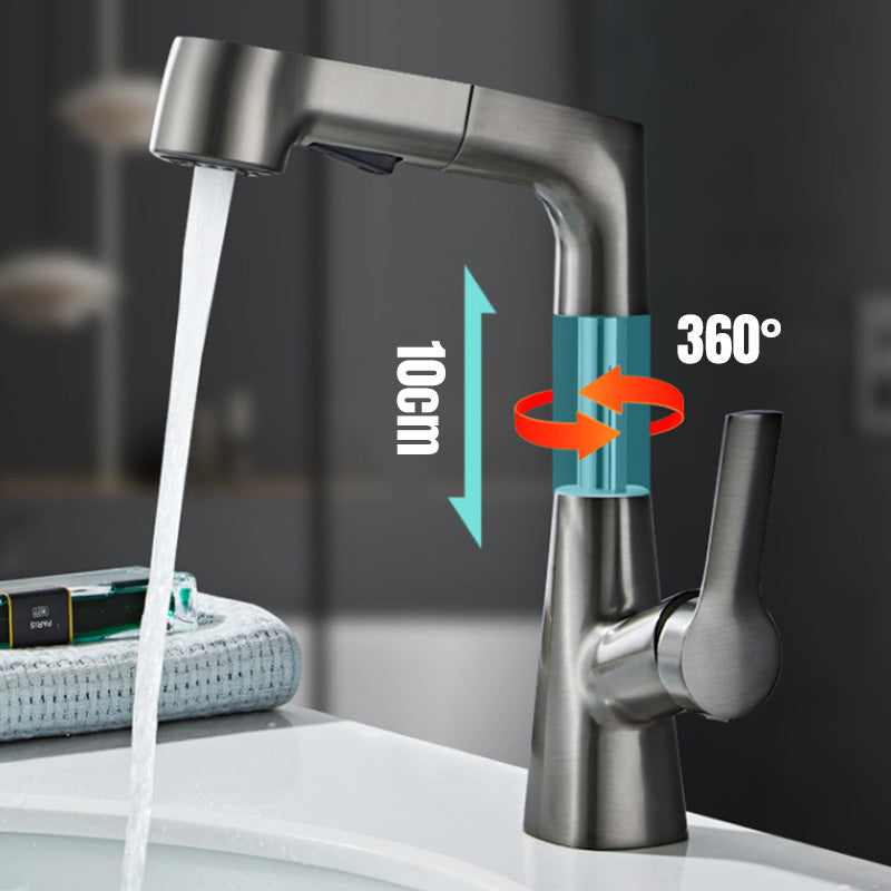 1-Hole Sink Mixer with Pull-Out Spray Head