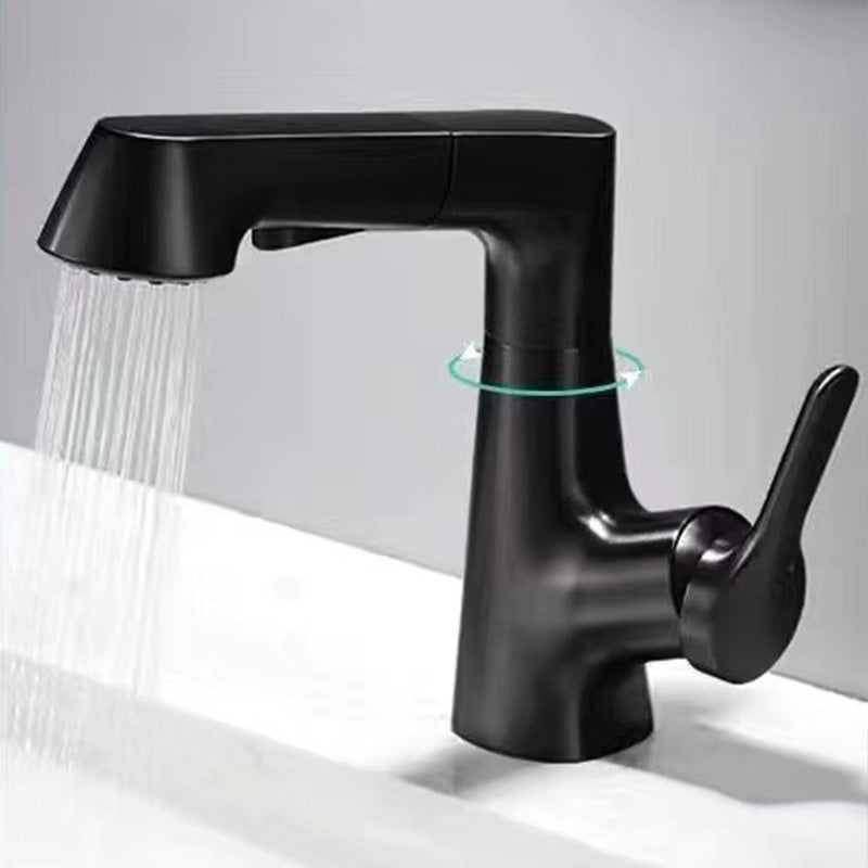 1-Hole Sink Mixer Tap with Pull-Out Spray Head