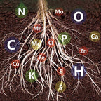 Fast-Acting Nutrient Solution for Plants