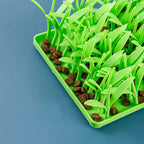 Innovative Silicone Feeding Mat for Animals